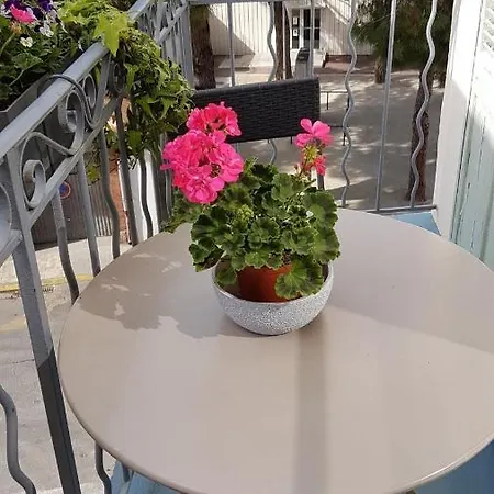 Appartement 14bis *